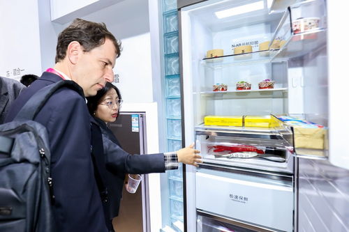 從“AWE后記”看家電企業(yè)數(shù)字化轉(zhuǎn)型 海爾詞典軟件的開發(fā)與應(yīng)用